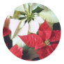Mixed Color Poinsettias 2
