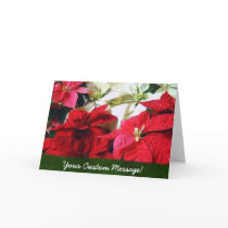 Mixed Color Poinsettias 3 cards