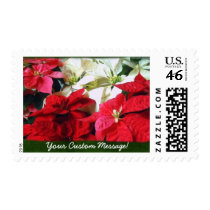 Mixed Color Poinsettias 3 stamps
