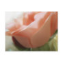 Mixed Cut Roses 4