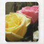 Mixed Cut Roses 5