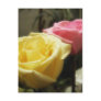 Mixed Cut Roses 5