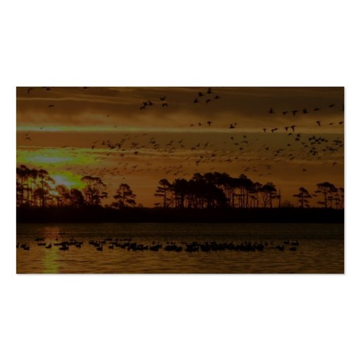 Mixed flock of waterfowl fly at Chinocoteague Business Card Template (back side)