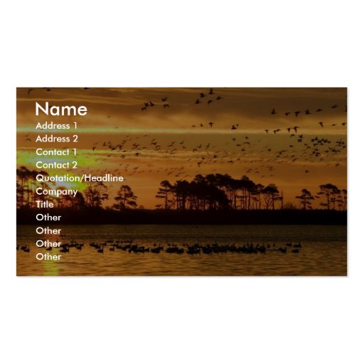 Mixed flock of waterfowl fly at Chinocoteague Business Card Template (front side)