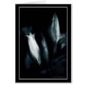 Mixed Flower Bouquet #9316 cards