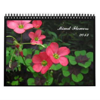Mixed Flowers 2013 ~ Calendar