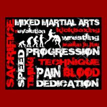 Mixed Martial Arts - Elements of Revolution Poster posters