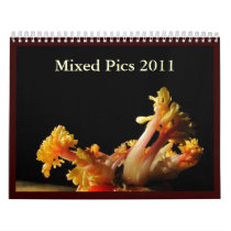 Mixed Pics 2011 ~ Calendar