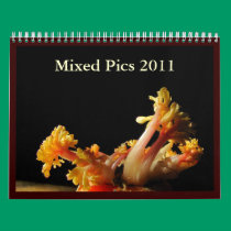 Mixed Pics 2011 ~ Calendar calendars