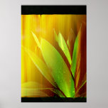 Mixed Posters