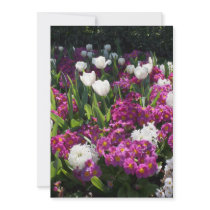 Mixed spring flowers in flower bed announcement