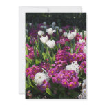 Mixed spring flowers in flower bed announcement