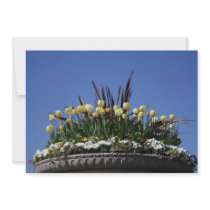 Mixed spring flowers invitation