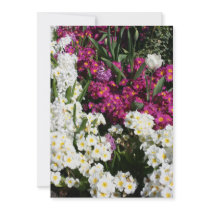Mixed spring flowers custom announcements