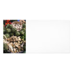 Mixed vegetables personalized photo card