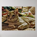 Miyu Cat Art Poster posters