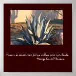 MLH agave Print