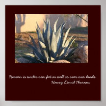 MLH agave Print