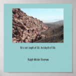 MLH desert scene Posters