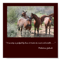 MLH quarterhorses posters by bdodson5 MLH quarterhorses posters