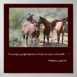 MLH quarterhorses Poster