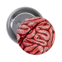 Mmmm .... BRAINS! Pins