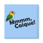 Mmmm, Caique! Square Magnet