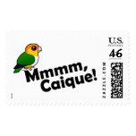 Mmmm, Caique! Stamp