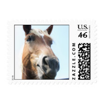 Mmmm hmmmm... postage
