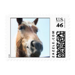 Mmmm hmmmm... postage stamps
