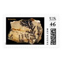 Mn Dendrites postage by Minpics Mn Dendrites postage
