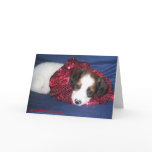 "Mo" Merry Christmas Greeting Card