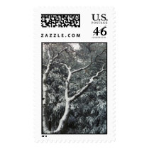 MO Snow postage by dmtena1 MO Snow postage