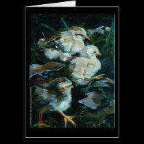 Moa Chicks 1 cards