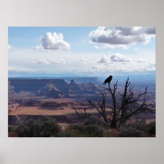 Moab Poster print