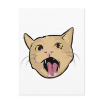 MOAR cat Postcards