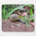 Mobile Home mousepads