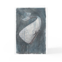 Moby Dick cards