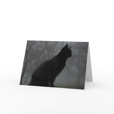 Moby in fog greeting cards by viviculture