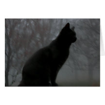 Moby in fog greeting cards
