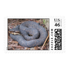 Moccasin Postage stamp