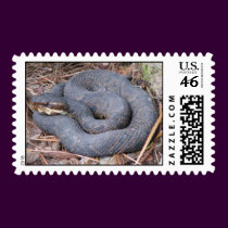 Moccasin Postage postage by naturegirl7 Moccasin Postage postage