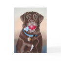 Mocha Cathcart cards by megsodano Mocha Cathcart cards