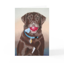 Mocha Cathcart cards