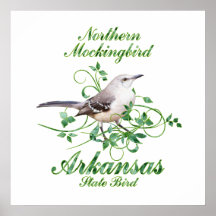 Mockingbird Arkansas State Bird Posters
