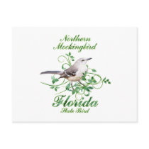 Mockingbird Florida State Bird Postcards