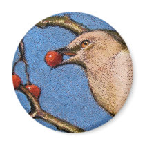 MOCKINGBIRD IN COLOR PENCIL magnets