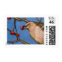 MOCKINGBIRD IN COLOR PENCIL STAMPS
