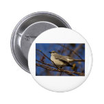 Mockingbird Ornithology Button