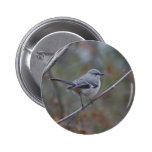Mockingbird Ornithology Button